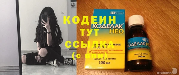прущие грибы Новозыбков