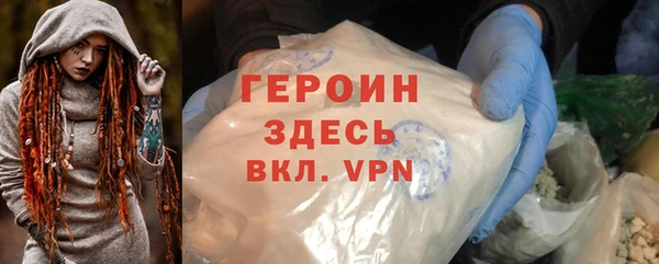 прущие грибы Новозыбков
