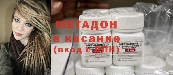 прущие грибы Новозыбков