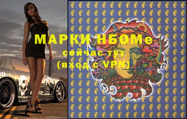 прущие грибы Новозыбков