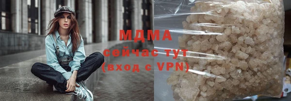 прущие грибы Новозыбков