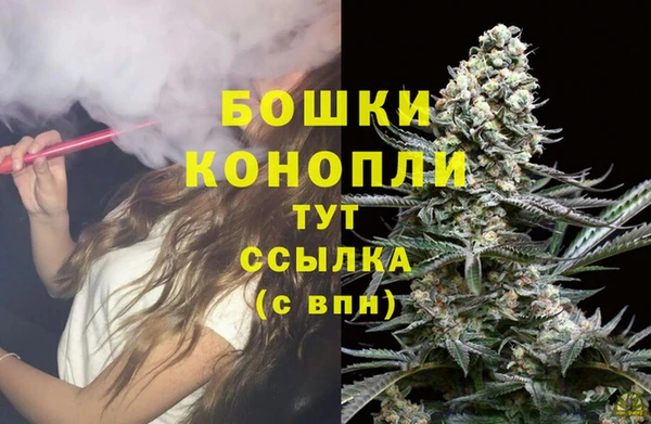 стаф Рославль