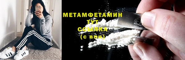 прущие грибы Новозыбков