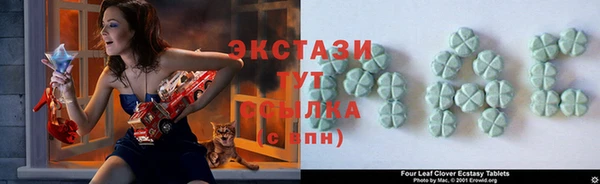 прущие грибы Новозыбков