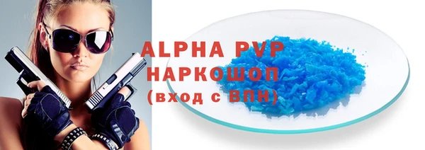 прущие грибы Новозыбков
