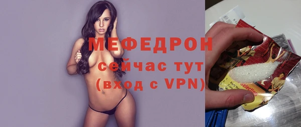 прущие грибы Новозыбков