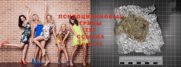 прущие грибы Новозыбков