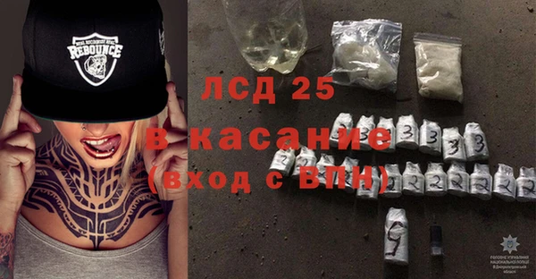прущие грибы Новозыбков
