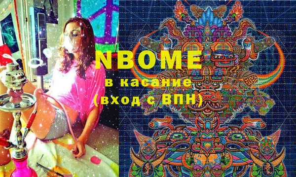 прущие грибы Новозыбков