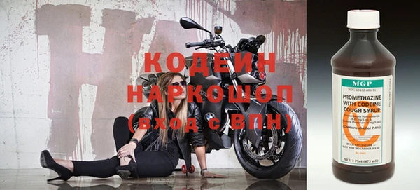 прущие грибы Новозыбков