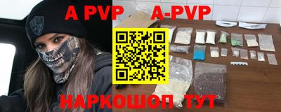 спиды Кингисепп