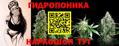 дмт Будённовск