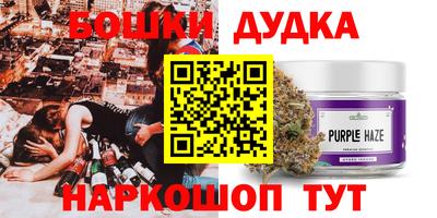 спиды Кингисепп