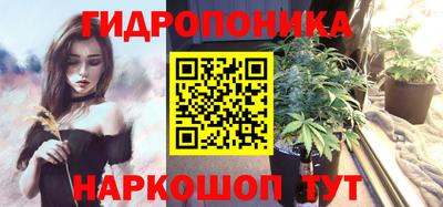 дмт Будённовск