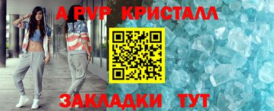 спиды Кингисепп