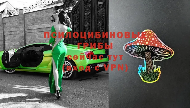 это как зайти  Москва  Псилоцибиновые грибы мухоморы 