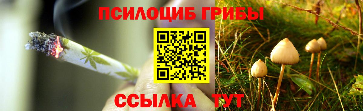 Москва  Псилоцибиновые грибы мухоморы  Вход с VPN 